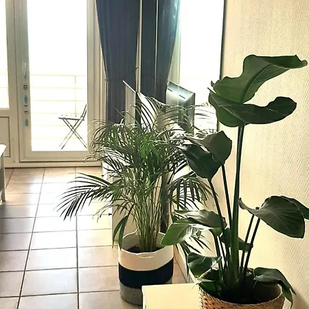 Lo & L'oo Lejlighed Oostende