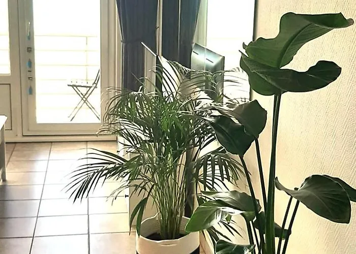 Lo & L'oo Apartment Ostend